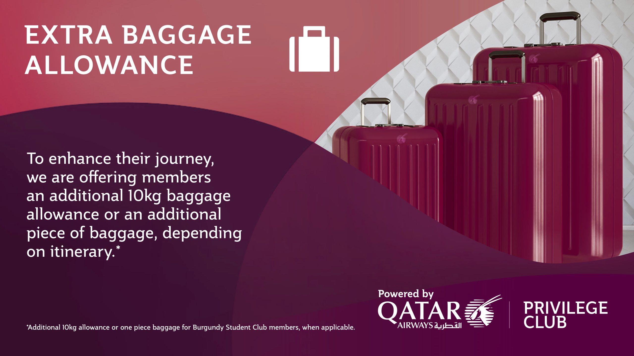 Extra Baggage Allowance